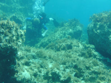 Amphitheatre under-water diver