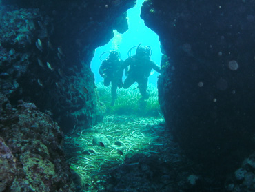 Saint George Island undersea divers in diving adventure trip