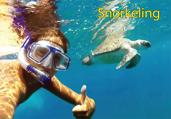 Cool Divers Latchi - snorkeling